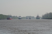 IMG_1343.JPG