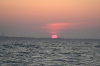 IMG_1339.JPG