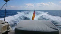 DSC_1771.JPG