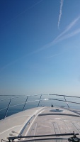 DSC_1795.JPG