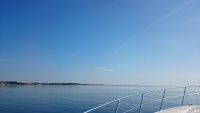 DSC_1796.JPG