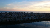 DSC_1831.JPG