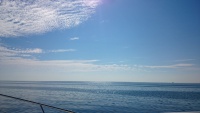 DSC_1835.JPG