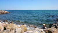 DSC_1863.JPG