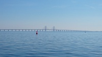 DSC_1890.JPG
