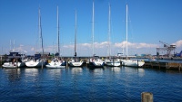 DSC_1897.JPG