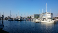 DSC_1911.JPG