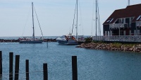 DSC_2006.JPG