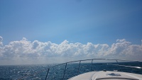 DSC_2012.JPG