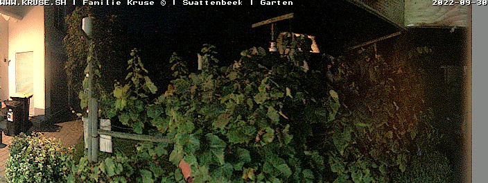 Webcam