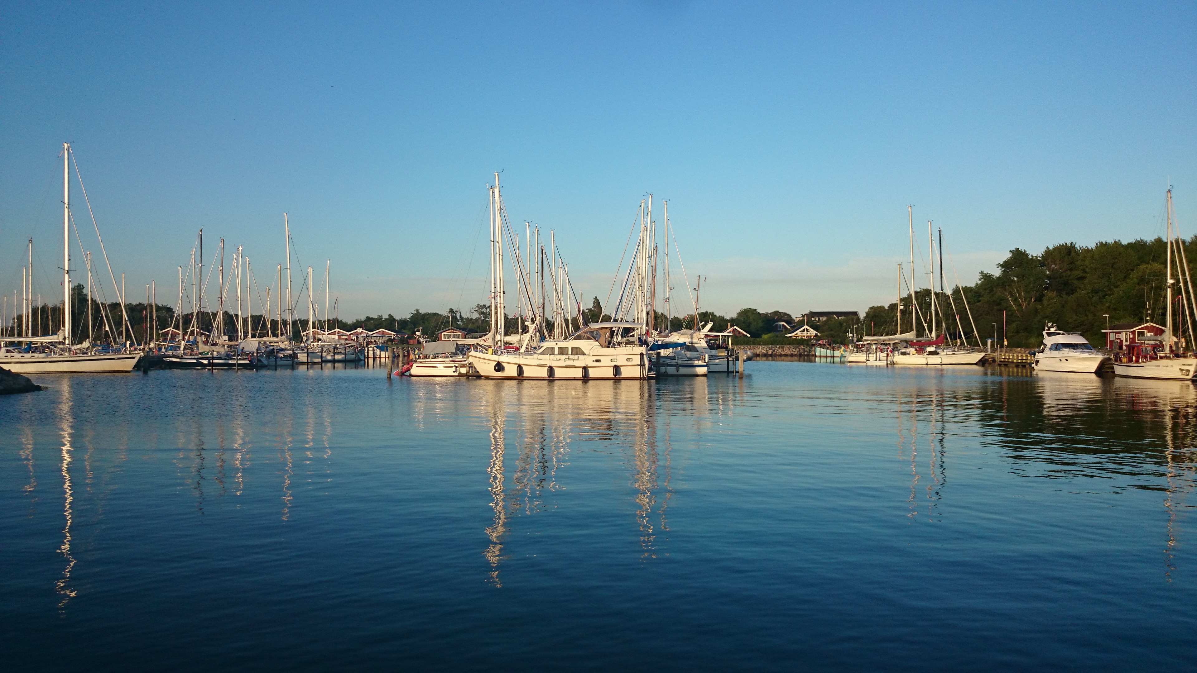 DSC_1820.JPG 721